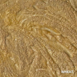 Wheat Antiquing Exterior Concrete Stain Color